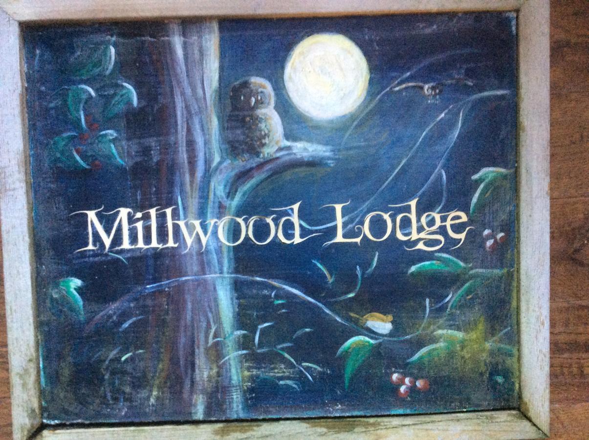 Millwood Lodge Barrow-in-Furness Dış mekan fotoğraf